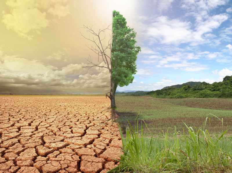 Smartphone Recycling: Innovate and Revitalize the Planet
